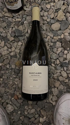 Burgundsko Saint-Aubin Arnaud et Sophie Les Pucelles 2020