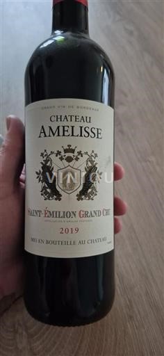 Bordeaux Saint-Émilion Grand Cru Château Amelisse 2019 2019