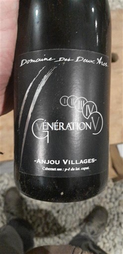 Valle della Loira Anjou Villages Domaine S Deux Arcs Génération V 2021