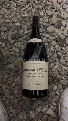 Bourgogne Không được chỉ định Premier Cru Christophe Vaudoisey Les Chanlins 2020