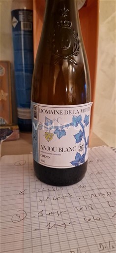Vina Blanc sec Domaine La Motte 2022 Francija Dolina Loare Anjou AOC