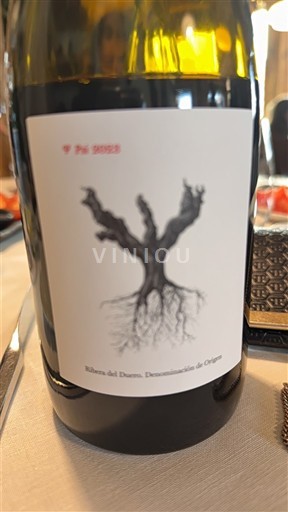 Castille và León Ribera del Duero Psi Không niên vụ
