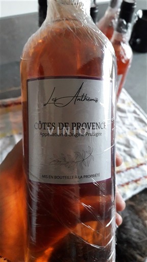 Provence Bregdeti i Provencës Les Anthémis Jo Viti