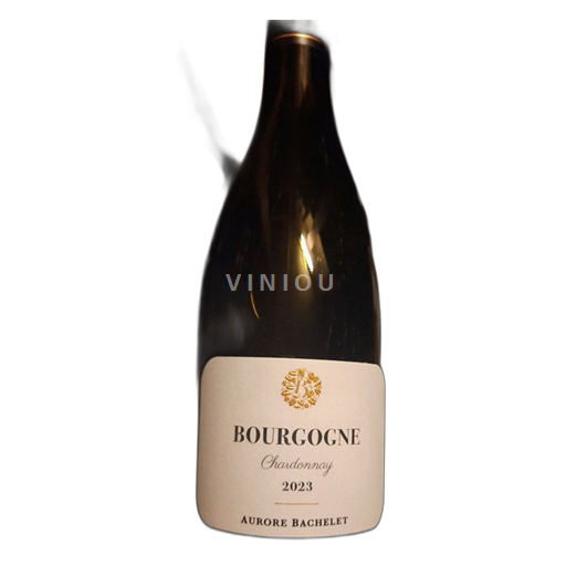 Vin Blanc sec Chardonnay Aurore Bachelet 2023 France Bourgogne AOC