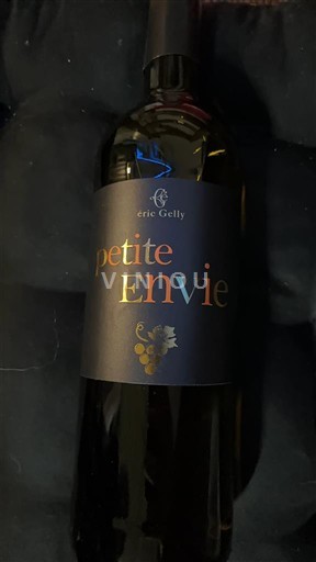 Linguadoca e Rossiglione Paese d'Oc Domaine Gelly Petite Envie 2024