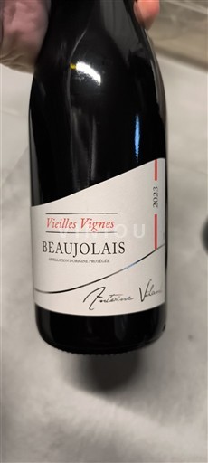 Beaujolais Antoine Villon Vieilles Vignes 2023