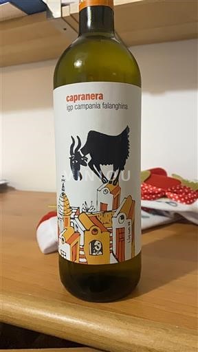 Campania Wines Unspecified Capranera 2024