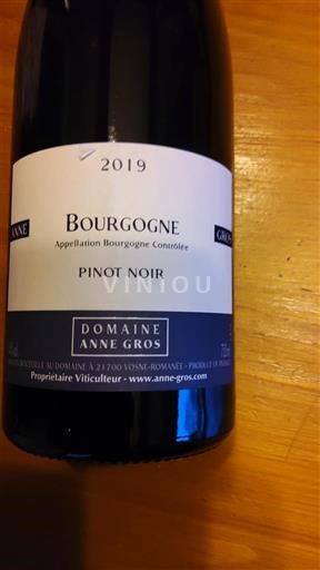 Burgundy Domaine Anne Gros Pinot Noir 2019