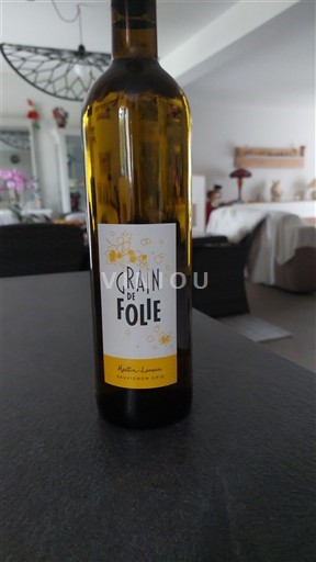 Vale do Loire Muscadet Martin-Luneau Grain de Folie Não Sazonado