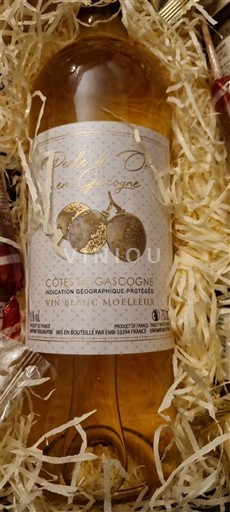 Jugozahod Côtes de Gascogne Domaine Peyrade Neleten.