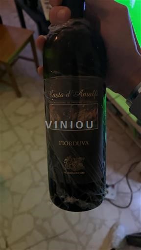 Kampanja Costa d'Amalfi Marisa Cuomo Fiorduva Neleten.