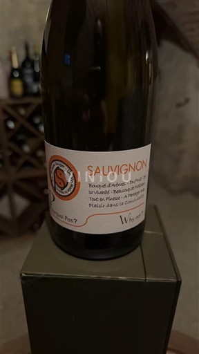 Rượu vang Blanc sec Why Not 2022 Pháp Thung lũng sông Loire Không được chỉ định AOC