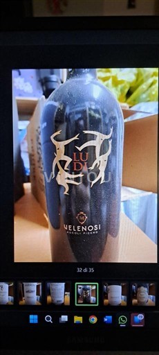 Marche Rosso Piceno Velenosi Ludi 2017