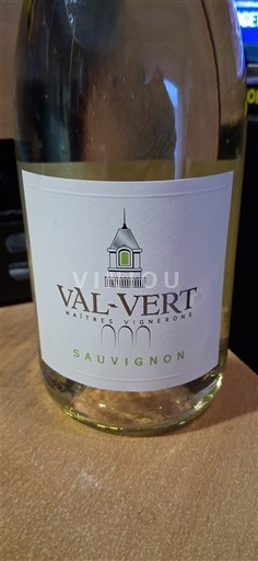 Linguadoca e Rossiglione Aude Val-Vert Sauvignon Senza annata