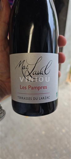 Лангедок Терасcи дю Ларзак Mas Laval Les Pampres 2023
