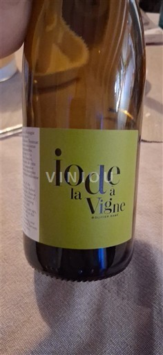 Linguadoca e Rossiglione Paese d'Oc Maison Ventenac Iode à la Vigne Senza annata