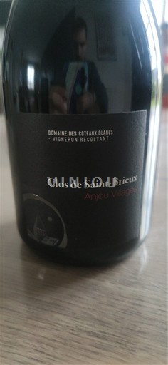 Valle della Loira Anjou Villages Domaine S Coteaux Blancs Clos de Saint-Brieux 2022