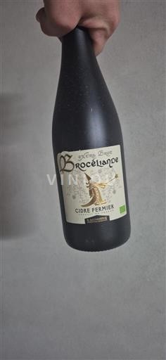 Bretonija Bretanja Brocéliande Neleten.