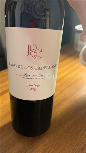 Castela e Leão Ribera del Duero Pago de los Capellanes Joven Roble 2023