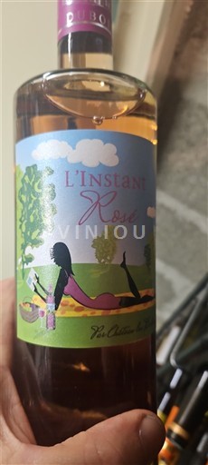 Loirevallei Domaine Bois L'Instant Rosé Niet-geïntegreerd