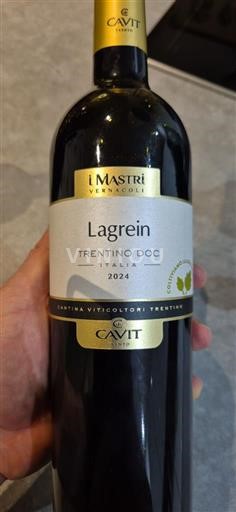 Trentino-Sydtyrol Ikke specificeret Cavit I Mastri Vernacoli Lagrein 2024