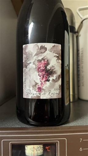 Vallée du Rhône Côtes-du-rhône Gramenon Poignée de Raisins 2024