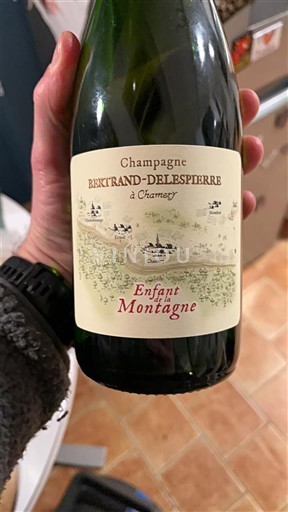 Champagne Bertrand-Delespierre Enfant Montagne Niet-geïntegreerd