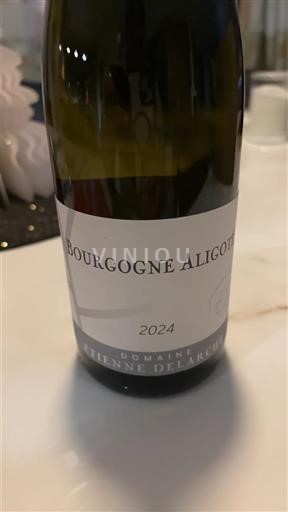 Burgundsko Bourgogne-aligoté Domaine Etienne Delarche 2024
