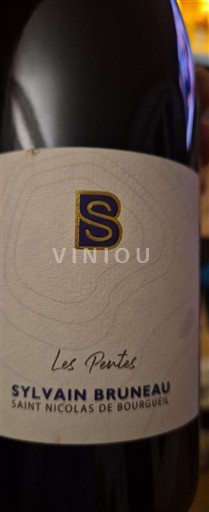 Loire-dalen Saint-Nicolas-De-Bourgueil Sylvain Bruneau Les Pentes 2021