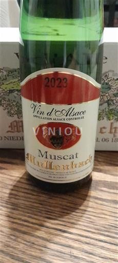 Alsacia Müllenbach 2023
