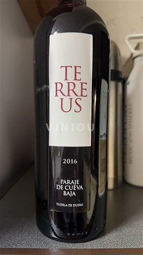 Castilien og León Ribera del Duero Terreus Paraje de Cueva Baja 2016