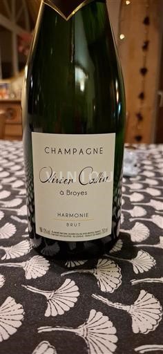 Sparkling Wines Blanc brut Harmonie Olivier Collin Non millésimé France Champagne AOC