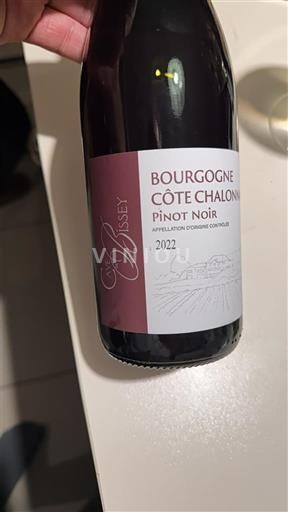 Bourgogne Bourgogne Côte Chalonnaise Cave de Bissey Pinot noir 2022