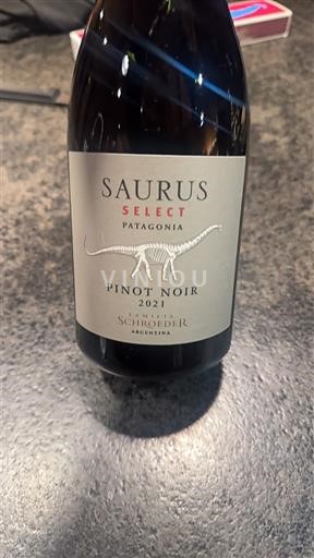 Patagonia Unspecified Familia Schroeder Saurus Select 2021