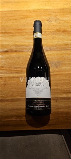 Venetia Amarone della Valpolicella Corte Allodola 2022