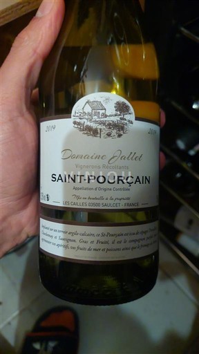 Vale do Loire Saint-Pourçain Domaine Jallet 2019