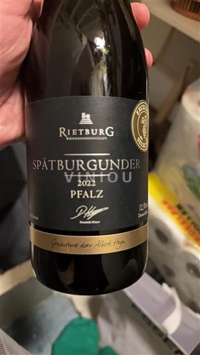 Pfalz Rietburg 2022