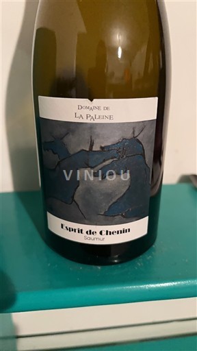Valle del Loira Saumur Domaine La Paleine Esprit de Chenin 2021