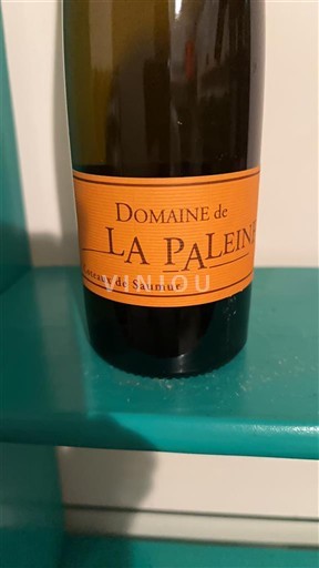 Valle della Loira Coteaux-de-saumur Domaine La Paleine Senza annata