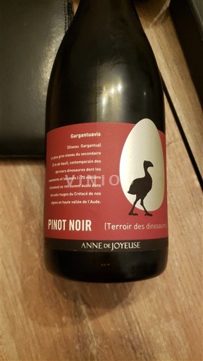 Languedoc a Roussillon Horní údolí Aude Anne de Joyeuse Terroir des dinosaures 2023