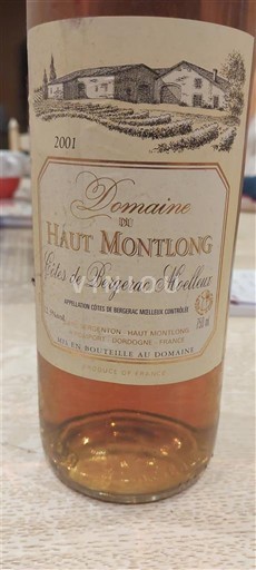 Sudoeste Não especificado Domaine Haut Montlong 2001