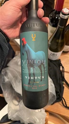 Castilië en León Ribera del Duero Virtus Reserva 2019
