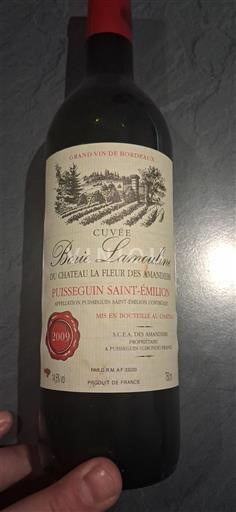 Bordeaux Puisseguin-saint-émilion Château La Fleur des Amandiers Borie Lamouline 2009