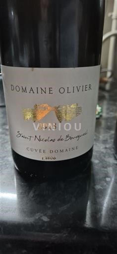 Loire-dalen Saint-Nicolas-De-Bourgueil Domaine Olivier Domaine 2013