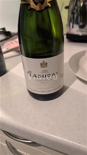 Valle del Loira Saumur Ackerman Ladubay Sin añada