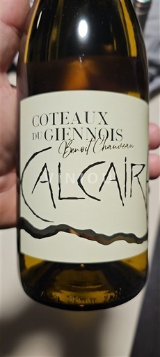 Valle della Loira Coteaux-du-giennois Benoît Chauveau Calcair Senza annata