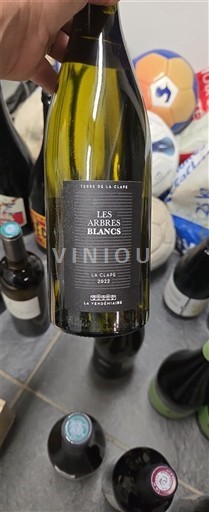 Rượu vang Blanc sec Les Arbres Blancs Terre de la Claie 2022 Pháp Thung lũng sông Loire Muscadet AOC