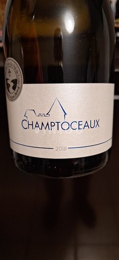 Thung lũng sông Loire Muscadet-Coteaux-de-la-Loire Domaine Des GalloIres Champtoceaux 2018