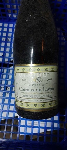 Wijnen Blanc moelleux Le Petit Clos Domaine Landreau 2003 Frankrijk Loirevallei Coteaux du Layon AOC