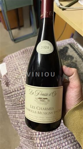 Bourgondië Niet gespecificeerd Premier Cru La Pousse d'Or Les Charmes 2020